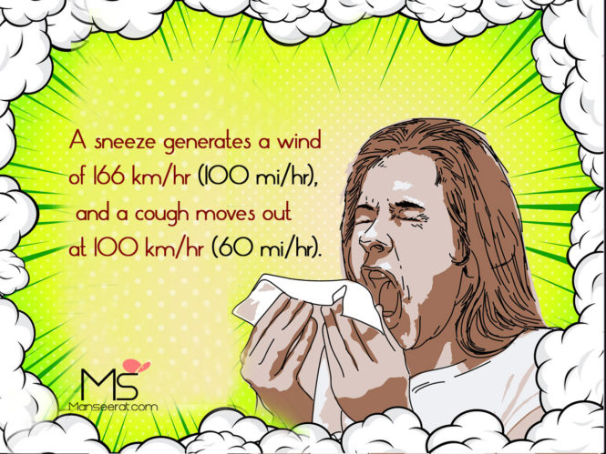 A sneeze generates a wind of 166 kmhr (100 mihr), and a cough moves out at 100 kmhr (60 mihr).