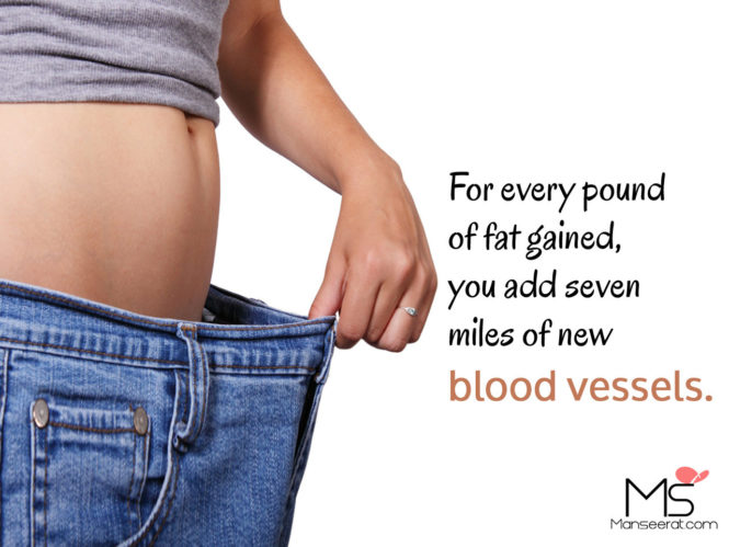 For every pound of fat gained, you add seven miles of new blood vessels.