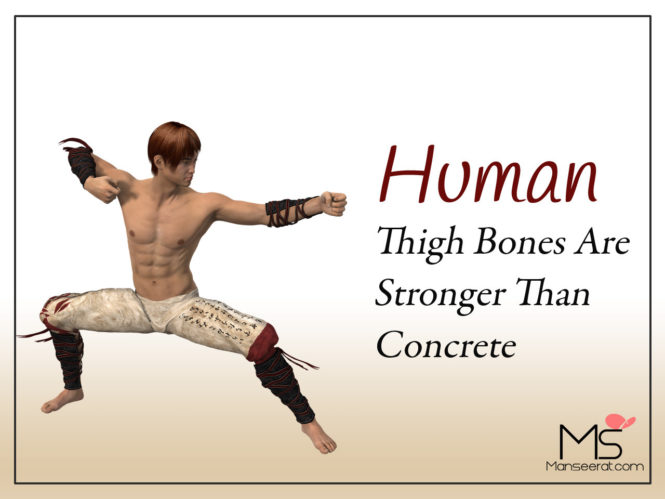 Human Thigh Bones Are Stronger Than Concrete.