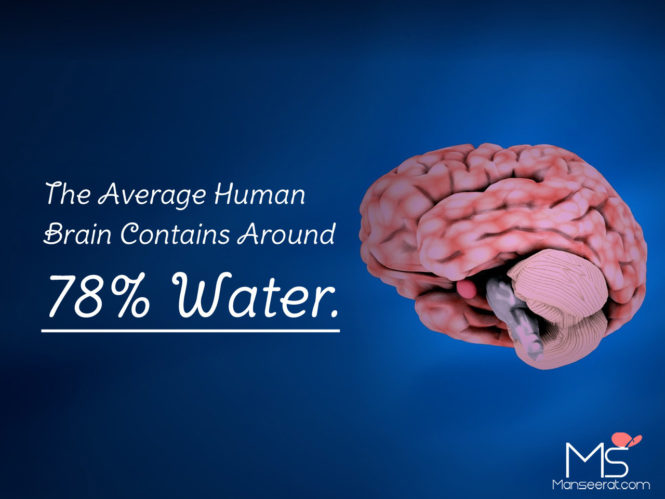 The Average Human Brain Contains Around 78% Water.