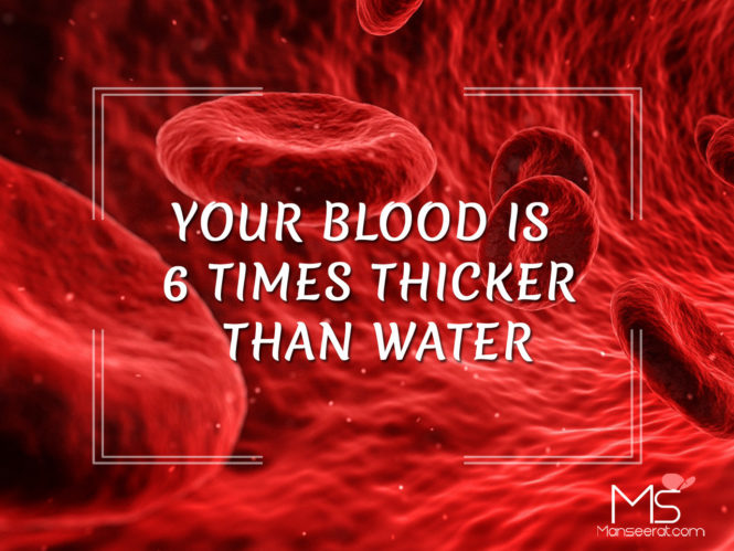 Your Blood Is 6 Times Thicker Than Water.