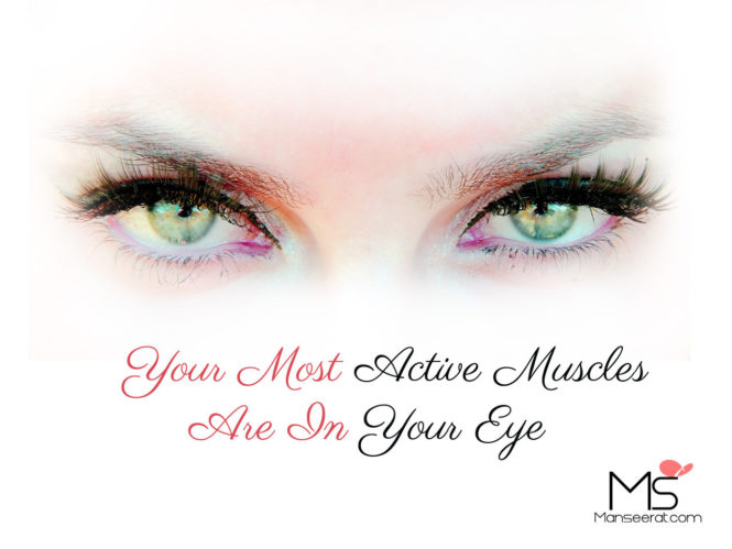 Your Most Active Muscles Are In Your Eye.