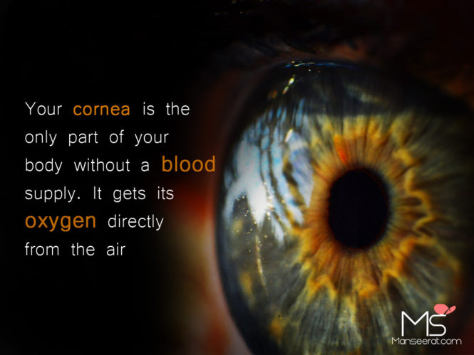 Your cornea is the only part of your body without a blood supply. It gets its oxygen directly from the air.